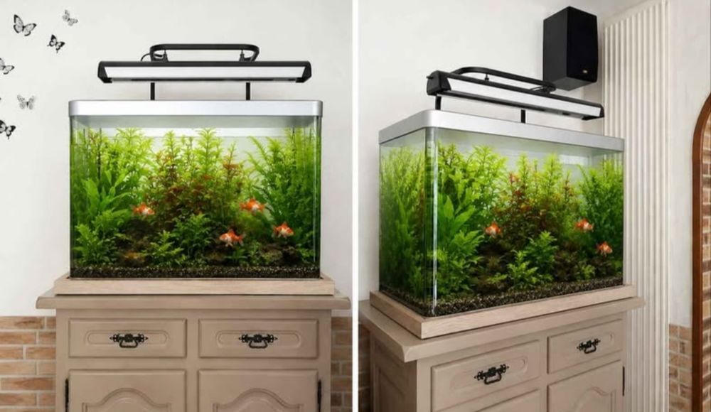    aquarium de 300L avec pompe  
