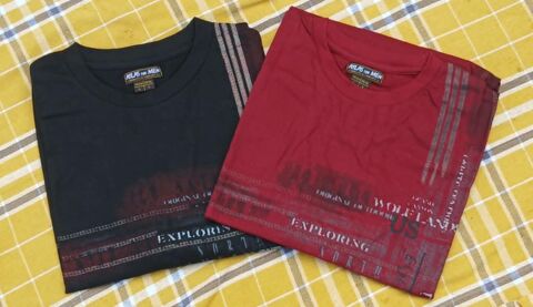 Lot de 2 Tee-shirts en Taille L pour Homme d'Atlas For Men 20 La Fert�-Alais (91)