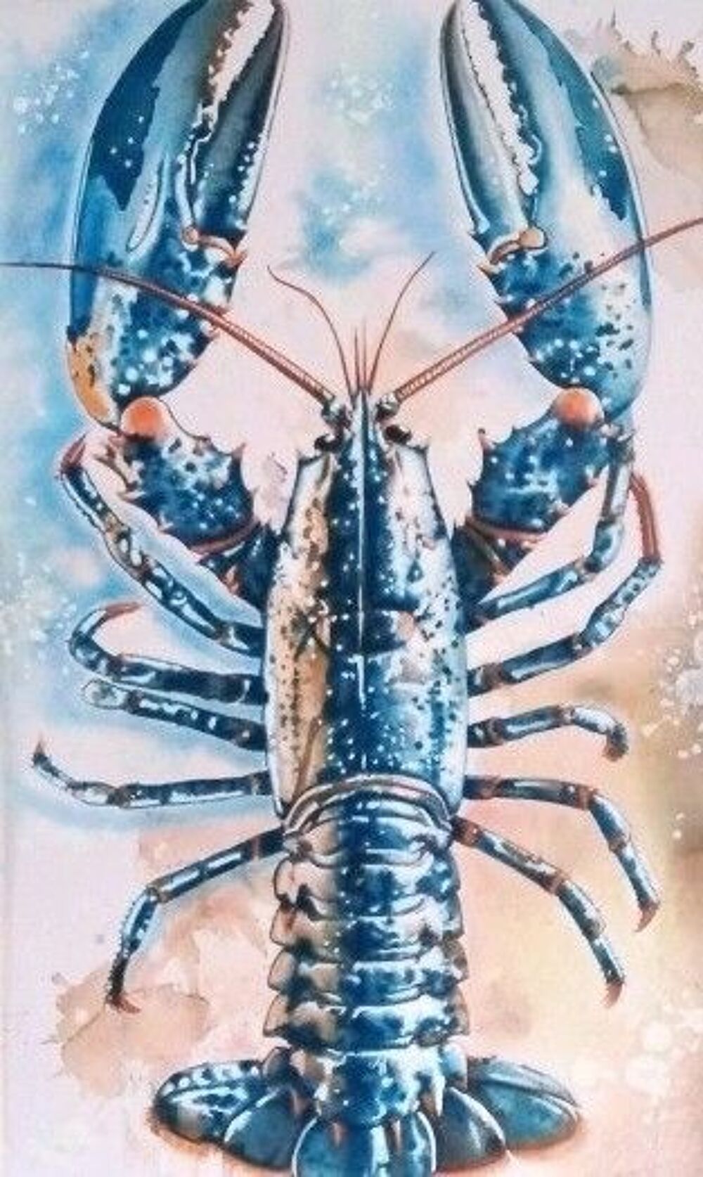 tableau "le homard bleu de Bretagne" Décoration