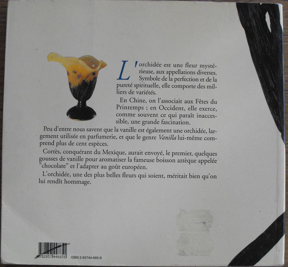 Vanilles et Orchid&eacute;es Livres et BD