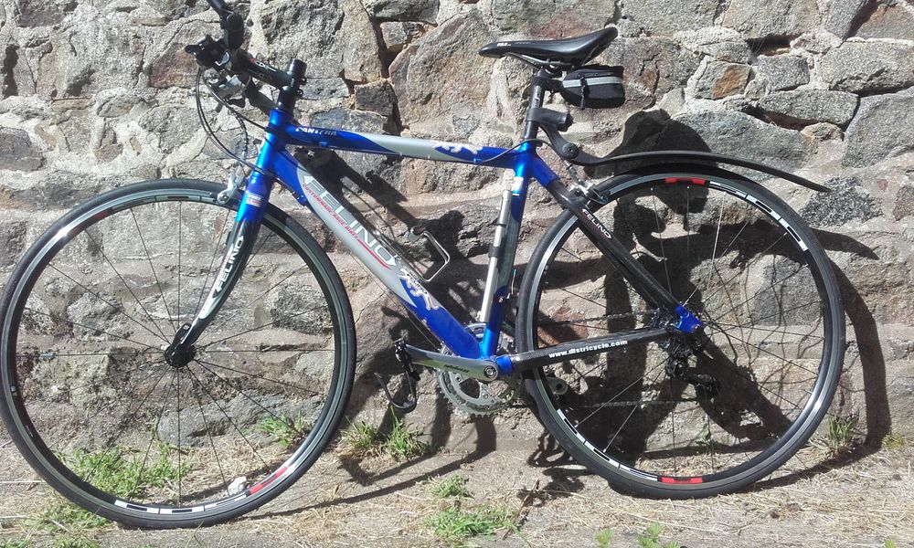  Felino Pantera Vélos