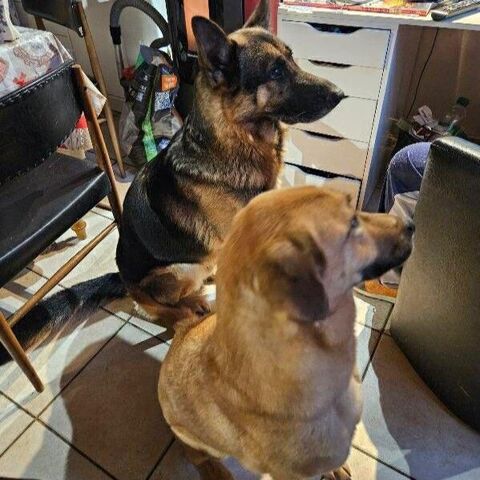 SAM et ORION 50 26300 Bourg-de-page