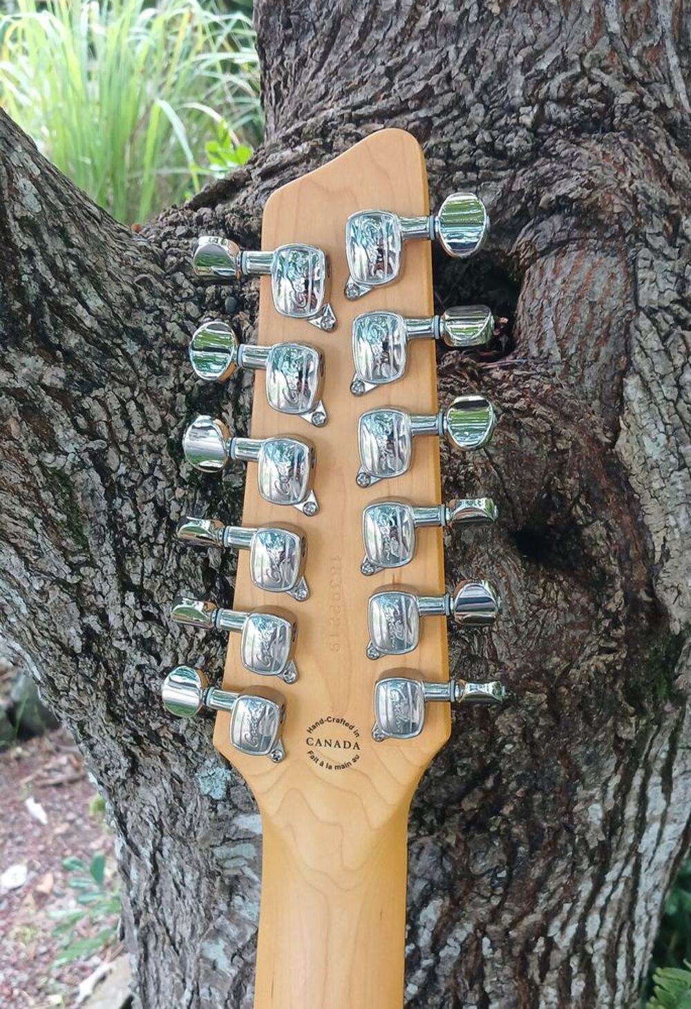 GUITARE ELECTRO ACOUSTIQUE GODIN 12 CORDES PARFAIT ETAT Instruments de musique
