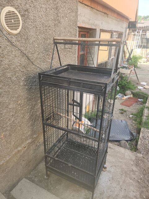 Cage perroquet 100 68560 Hirsingue