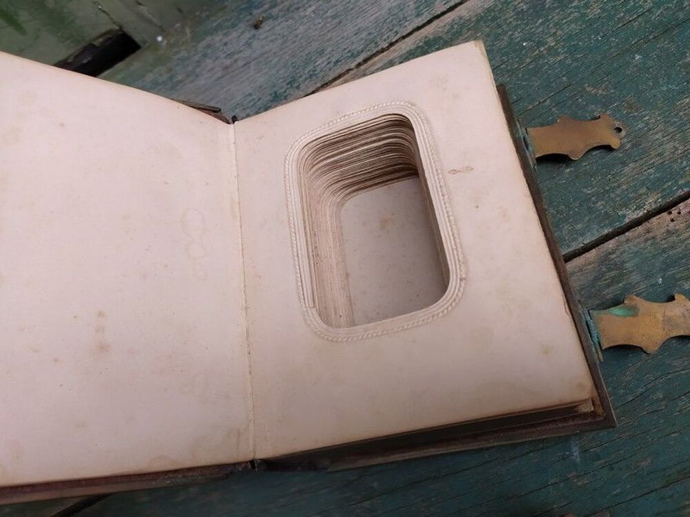 Album Photographies XIXeme Velours et Bois Sculpt&eacute; 