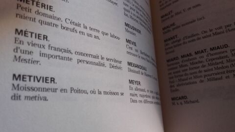 Dictionnaire des noms de famille et des prnoms 4 Vihiers (49)
