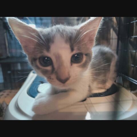 BELLA&deg;&deg; 1 26740 Savasse