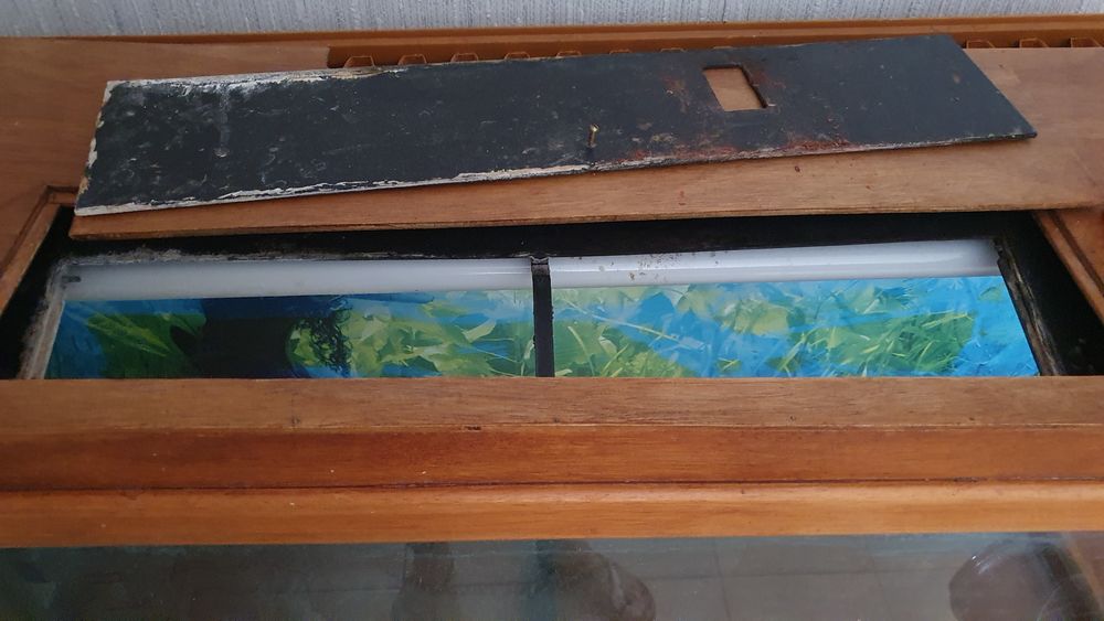 Aquarium avec meuble en bois Décoration