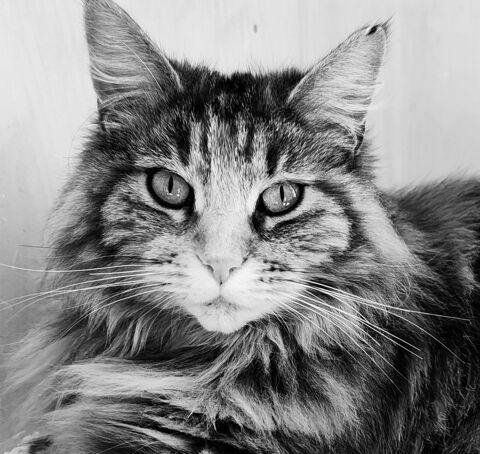 Urya 0 18000 Bourges