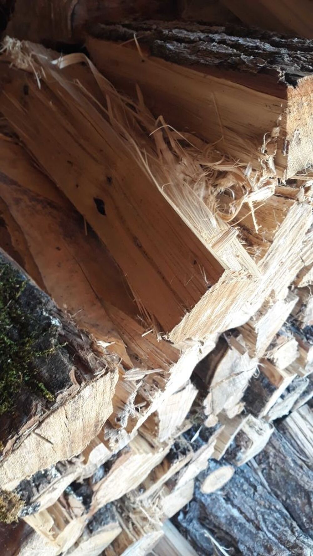 Bois de chauffage Peuplier Livrer Jardin