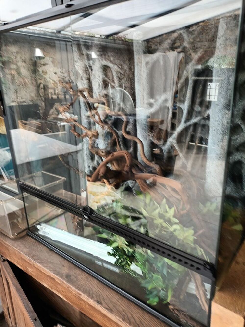 Affaire &agrave; saisir terrarium tr&egrave;s peu servi Meubles