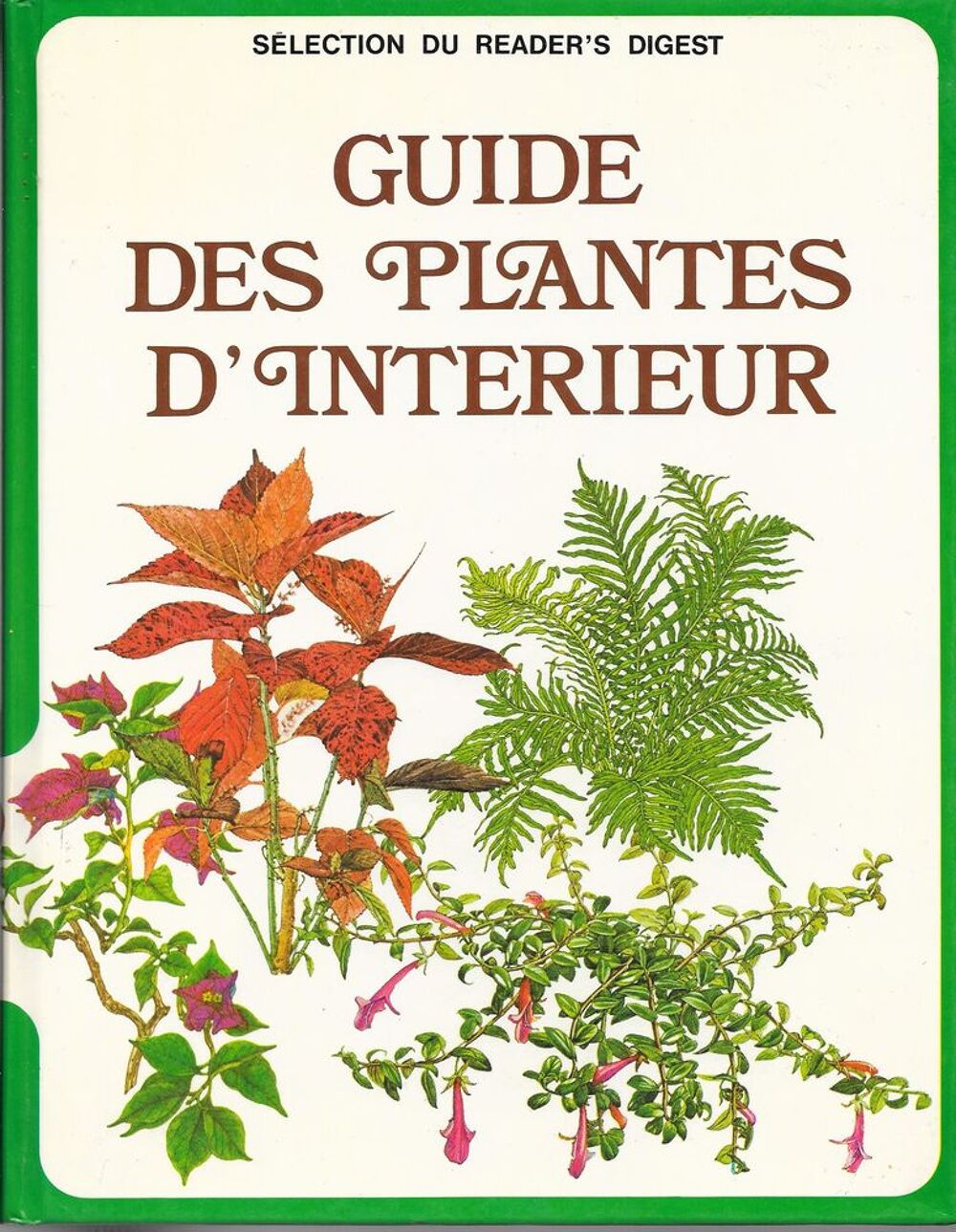 Guide des plantes d'interieur fais Livres et BD