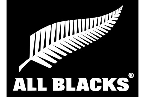DRAPEAU DES ALL BLACKS - 90X50 neuf 10 Mrignac (33)