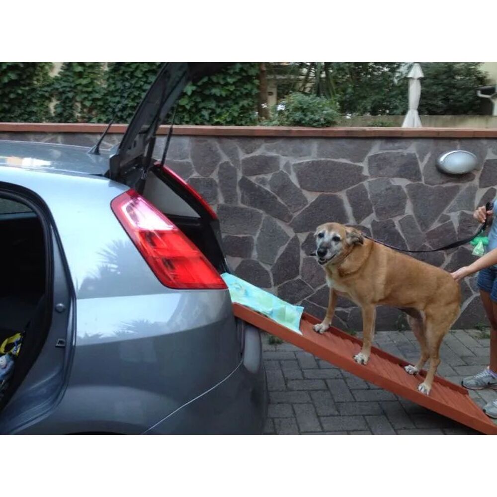   Rampe de voiture pour chien marque Backstage  