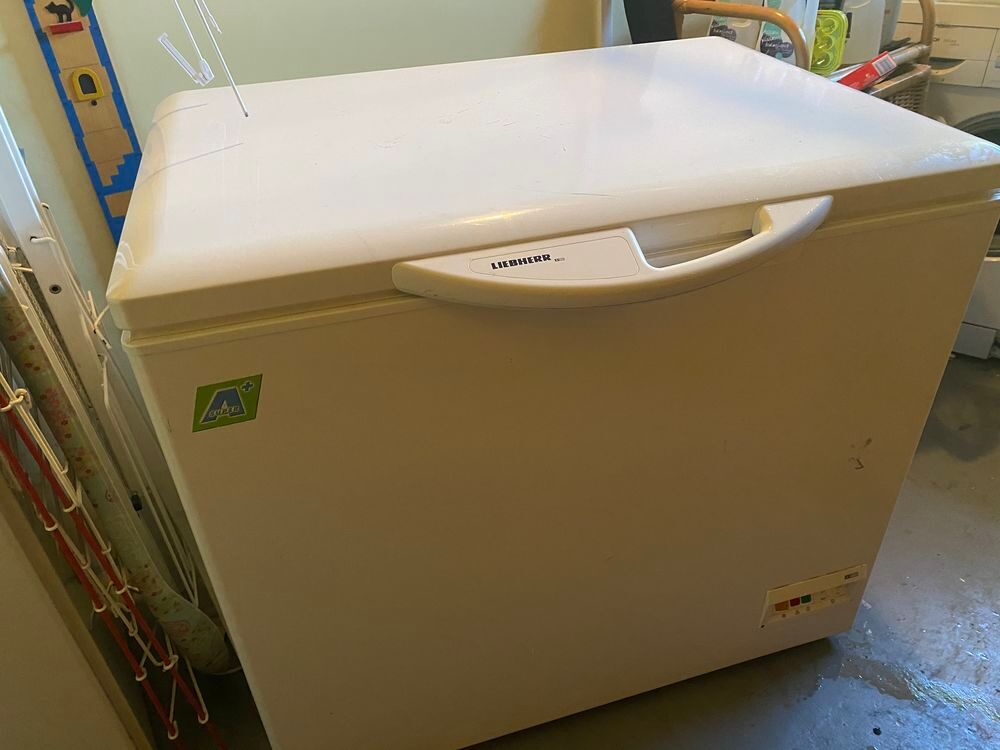 Cong&eacute;lateur coffre 300l Electroménager