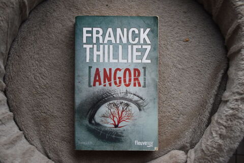Franck Thilliez   ANGOR  5 Ancy-le-Franc (89)