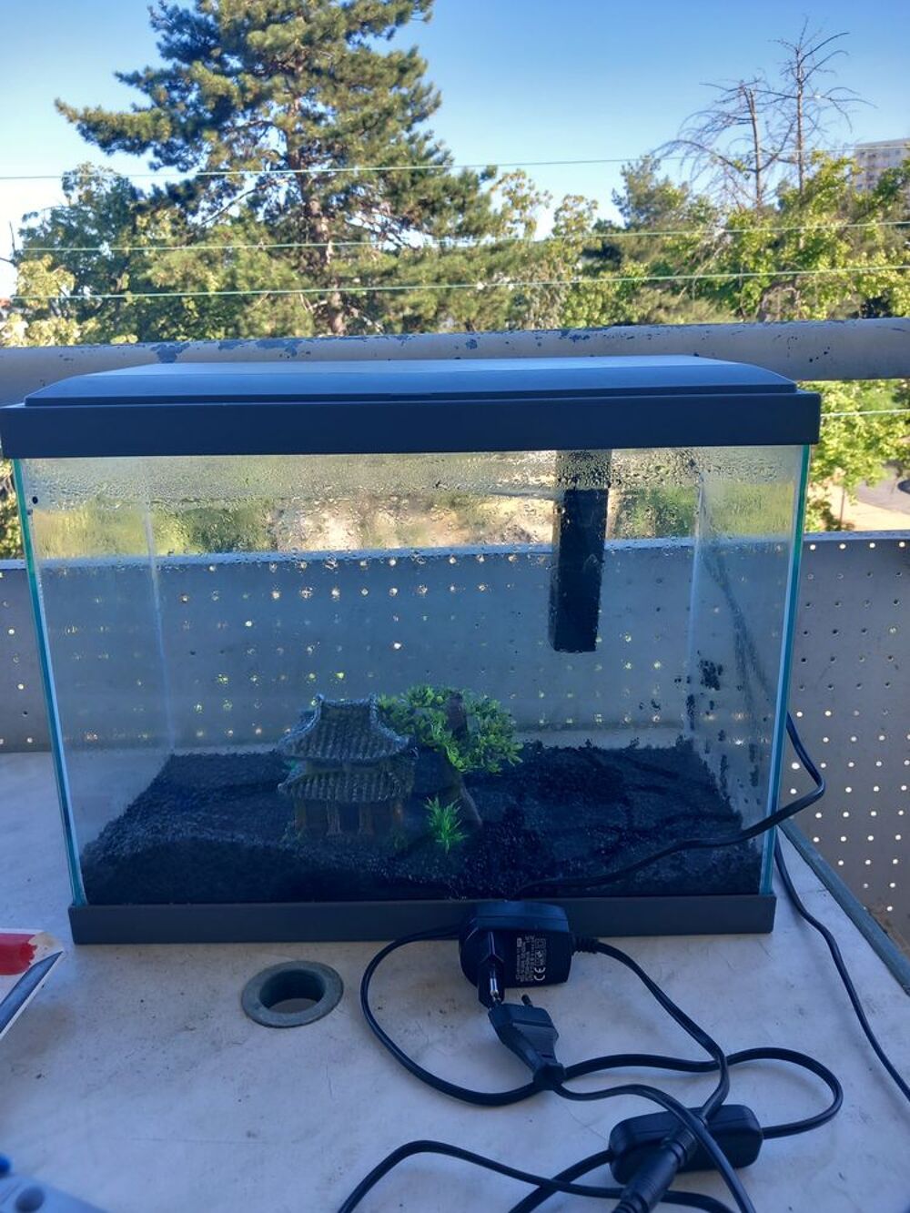   aquarium 20 l avec accessoires  