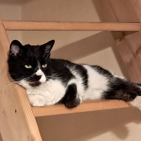 Spot 50 26100 Romans-sur-is�re