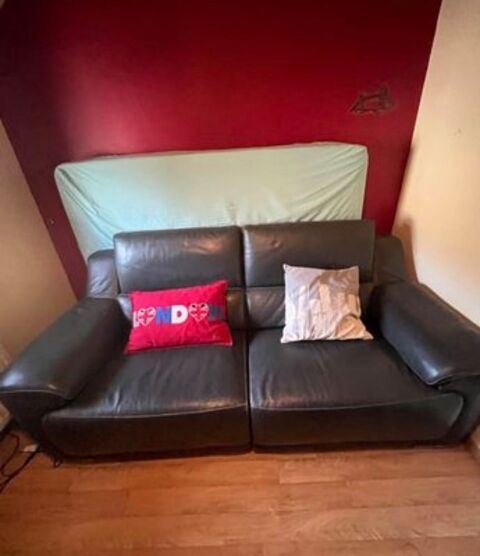 canap relax   en cuir 365 Saint-Gilles (35)