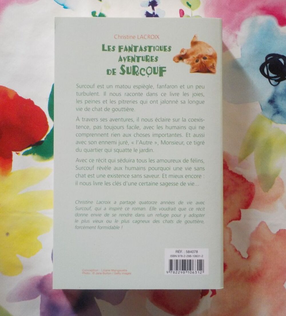 LES FANTASTIQUES AVENTURES DE SURCOUF de Christine LACROIX Livres et BD