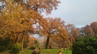  Terrain � vendre 1165 m�