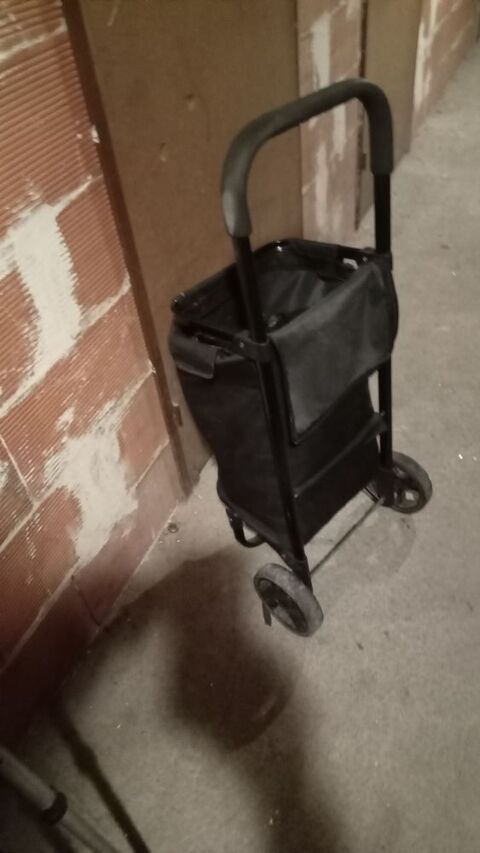 Chariot de courses capacité 15kg 7 Commentry (03)