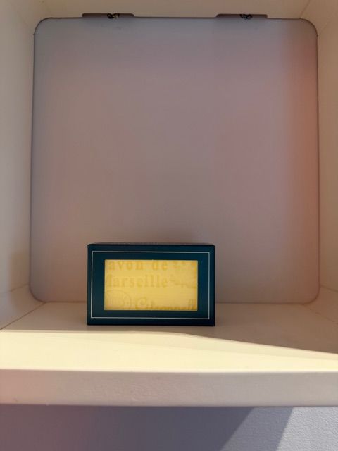 savon 1 Lisle-sur-Tarn (81)