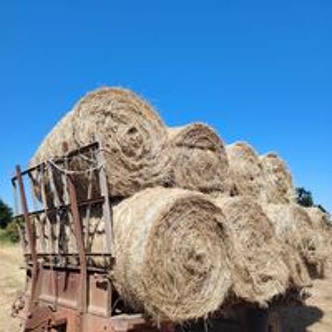  Foin de prairie  