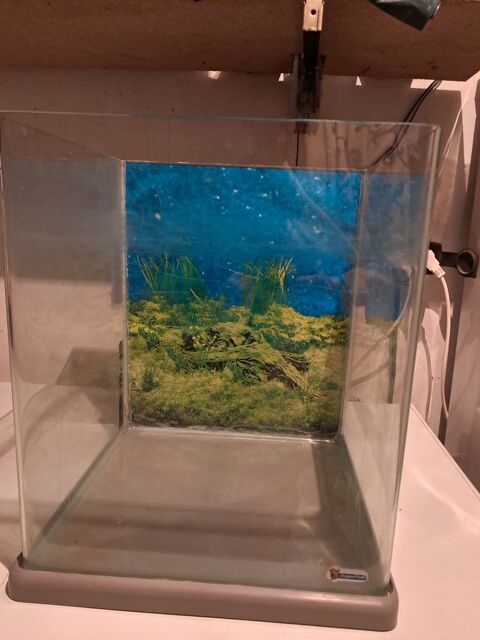 Aquarium cube 30 58600 Fourchambault