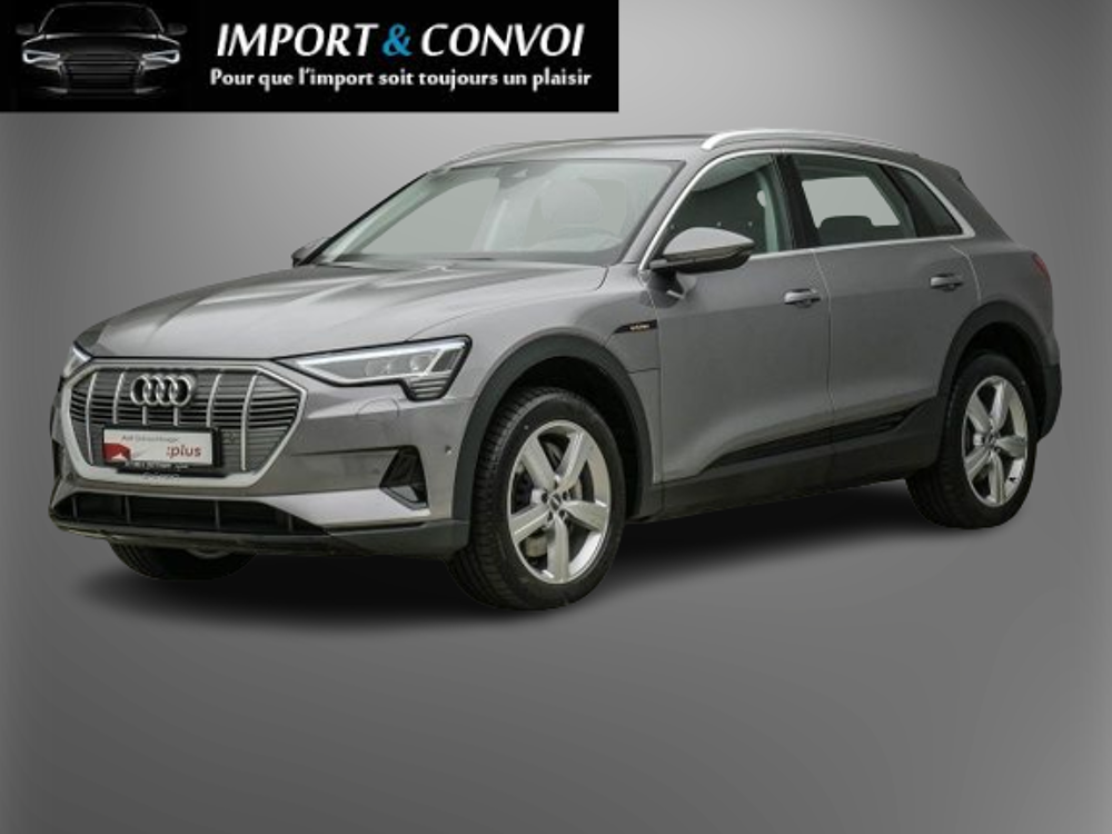 E-TRON e-tron 50 quattro 313 ch 2020 occasion 67100 Strasbourg