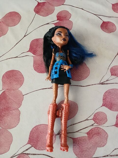 Poupee monster high 18 Fluquières (02)