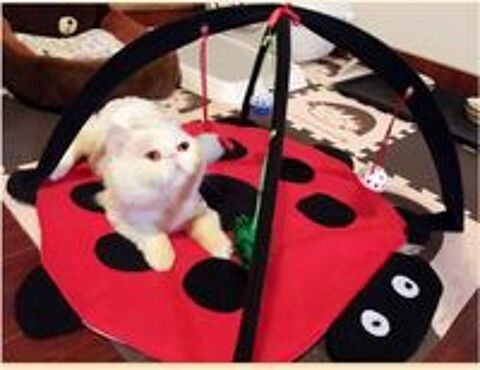   Tapis de jeu et d'activit mobile pour chien ou chat 