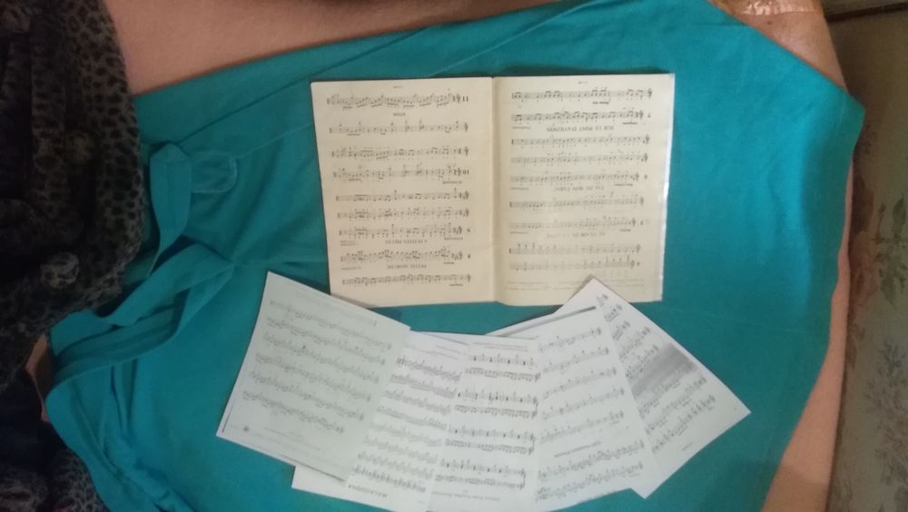 La Guitare Th&eacute;orie et pratique Instruments de musique