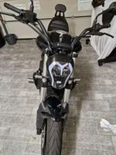 BENELLI 2023 occasion 62520 Le Touquet-Paris-Plage