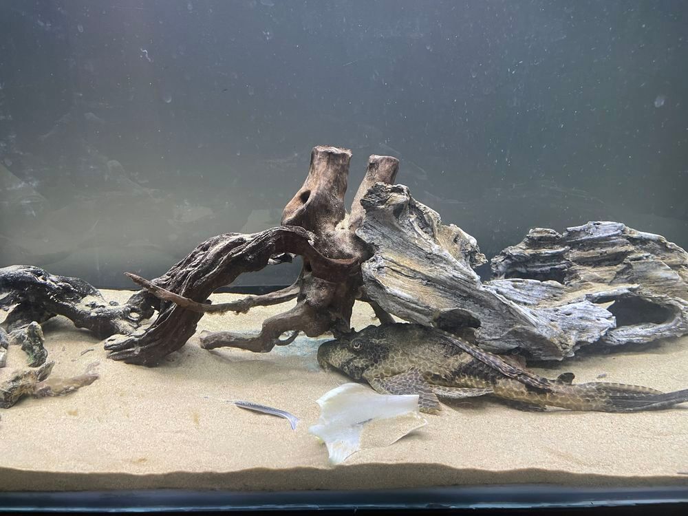 " D&eacute;coration aquarium " Meubles