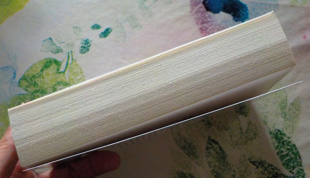 BIGOUDIS ET PETITES ENQUETES T2 PANIQUE AUX POMPES FUNEBRES Livres et BD