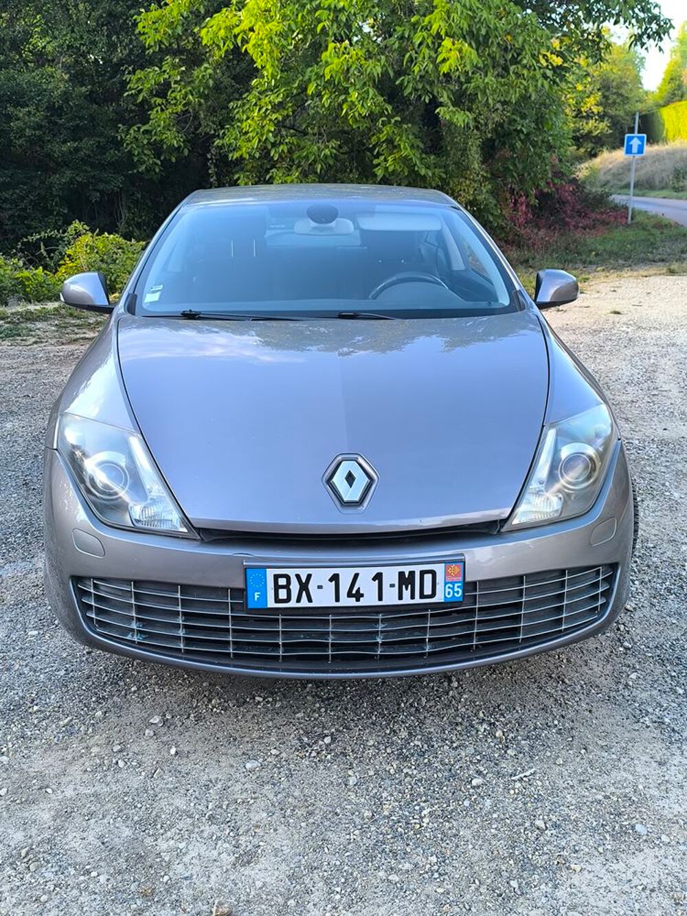 Laguna III Coup&eacute; Laguna Coup&eacute; 2.0 dCi 150 FAP Black Edition Euro 5 2011 occasion 89100 Paron