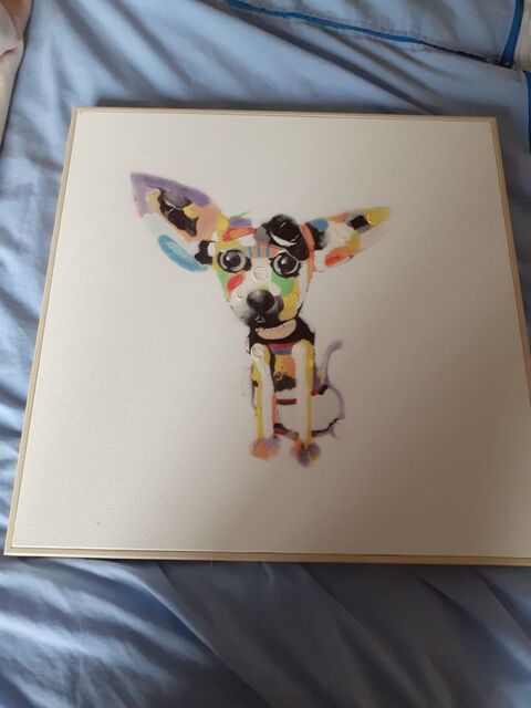 cadre chien 37 Bezons (95)