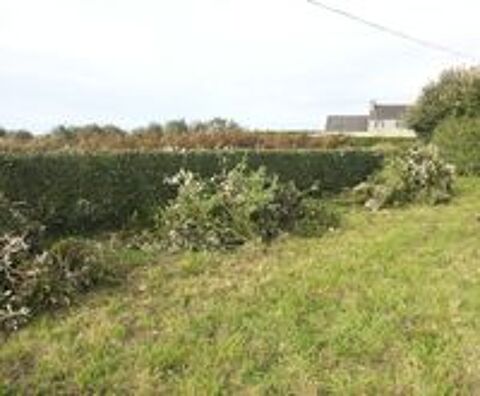   Jardin et Multiservices  
