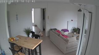  Chambre  louer 3 pices 11 m Dax