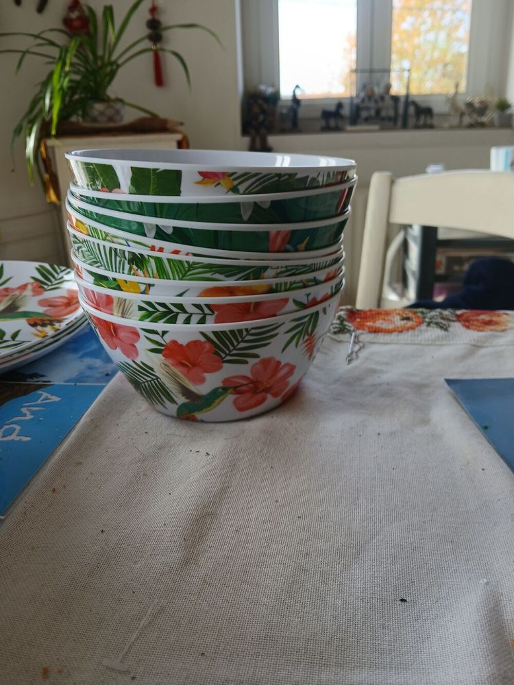 Assiettes et bols plastique Cuisine