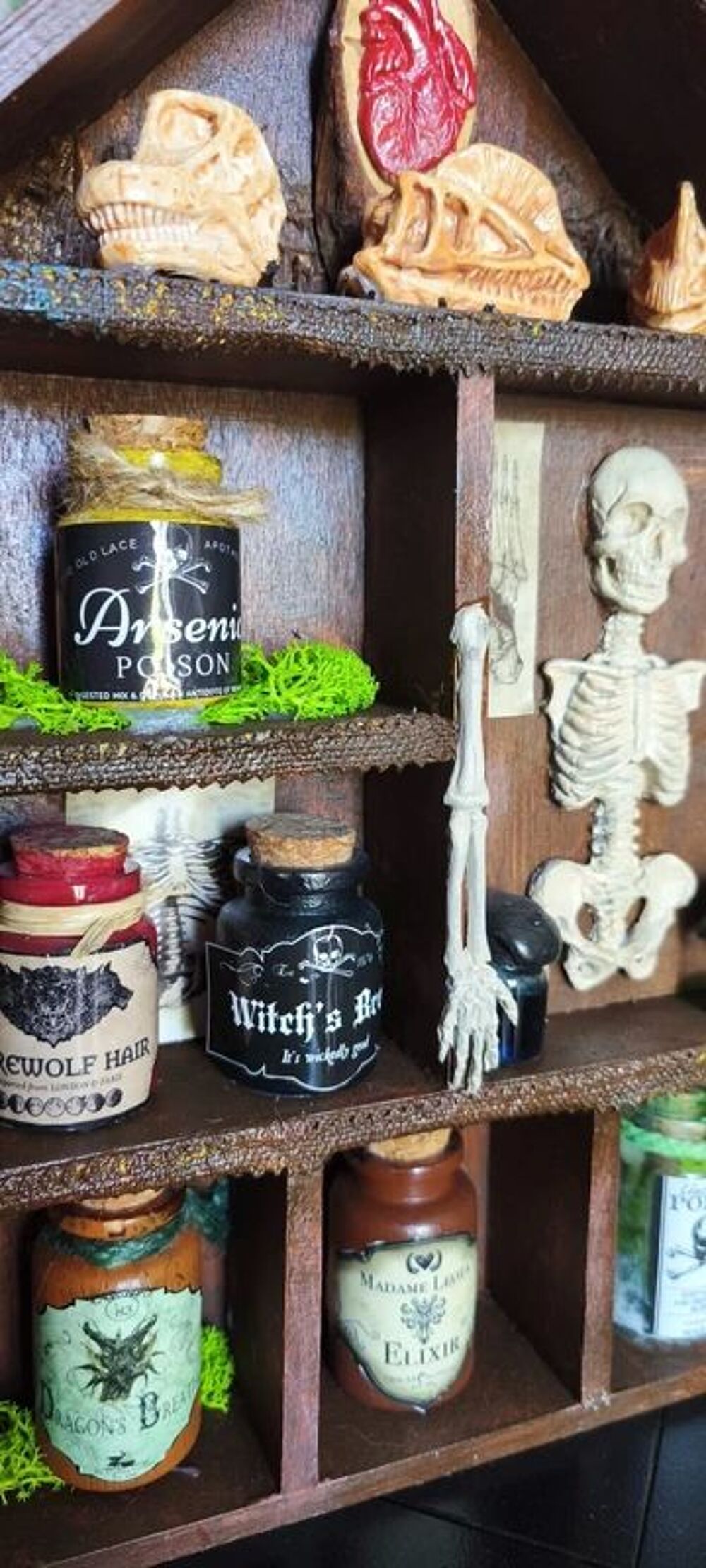 Petit cabinet de curiosit&eacute;s Décoration