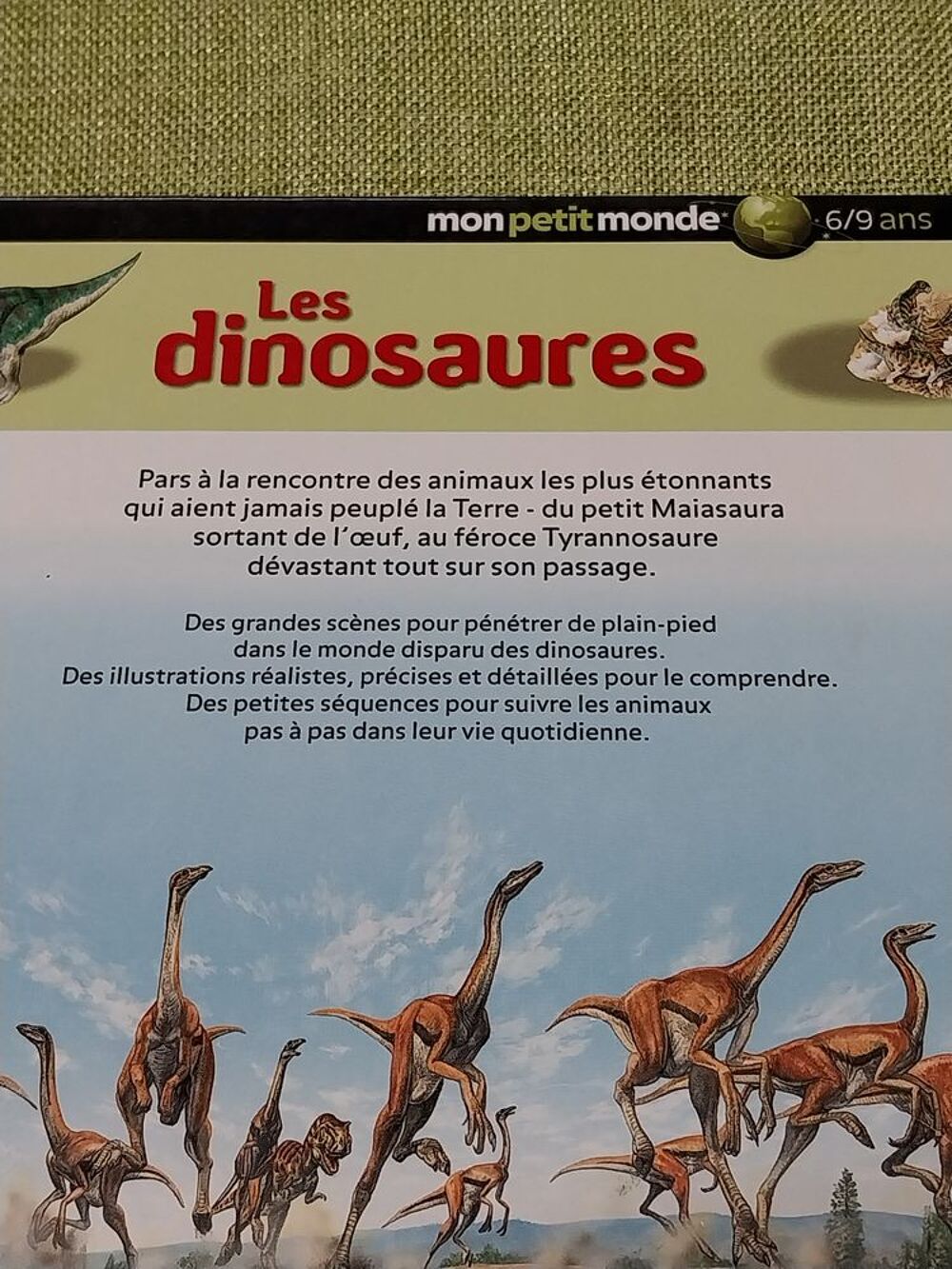 Dinosaures livre l'univers fascinant des animaux Christopher Livres et BD