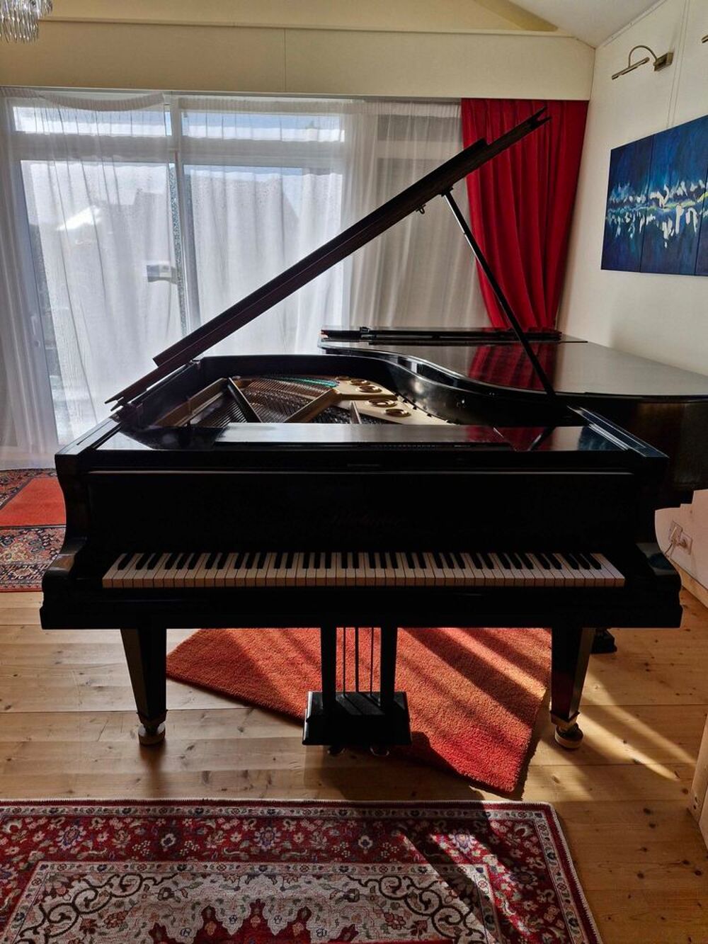 piano &agrave; queue Instruments de musique