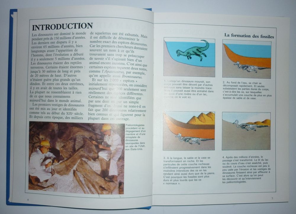 LES DINOSAURES DE A &agrave; Z Michael Benton (&Eacute;dit. ROUGE OR 1990) Livres et BD
