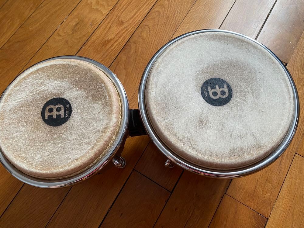 BONGOS MEINL Instruments de musique