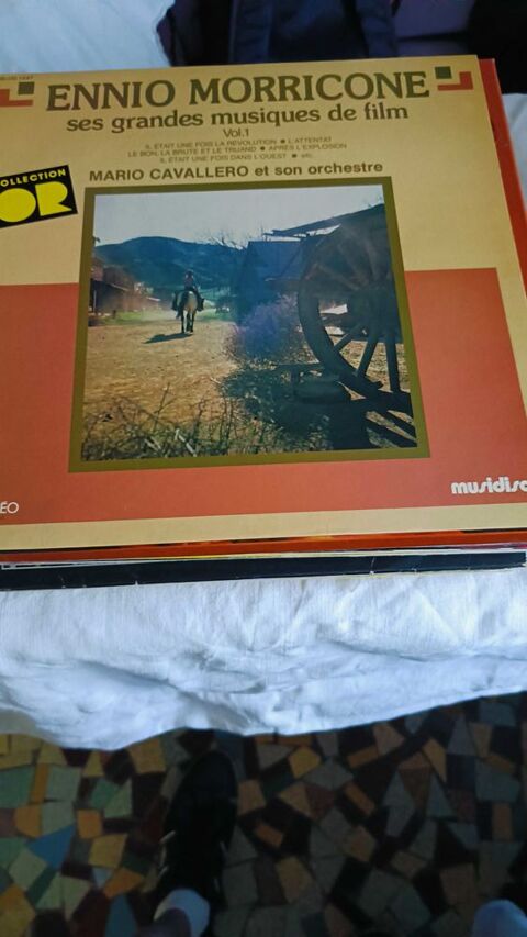 disques vinyles Gournay-sur-Marne (93)