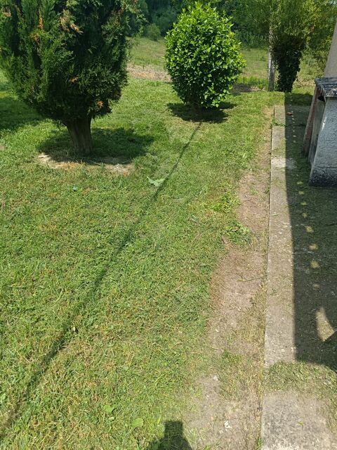 Je propose mes services de multiservices sur Moissac 0 82200 Moissac