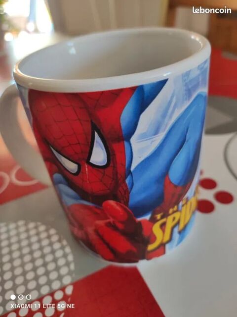 Mug spider man Sillans-la-Cascade (83)