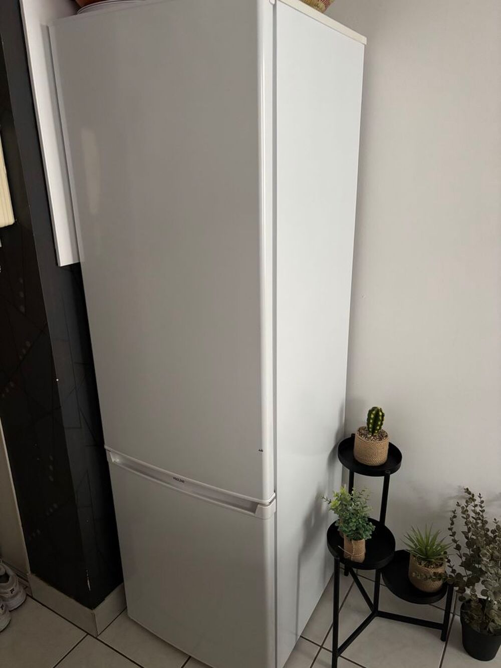R&eacute;frig&eacute;rateur combin&eacute; PROLINE €" Tr&egrave;s bon &eacute;tat Electroménager
